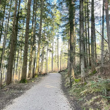 Apartamento Visitzakopane Jakubówka